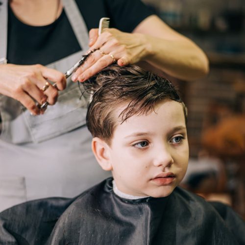 Mister Mobile Barber